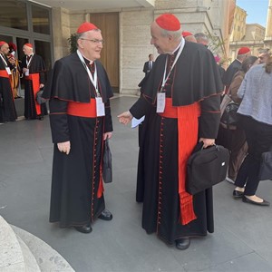 Održana deveta Opća kongregacija kardinala